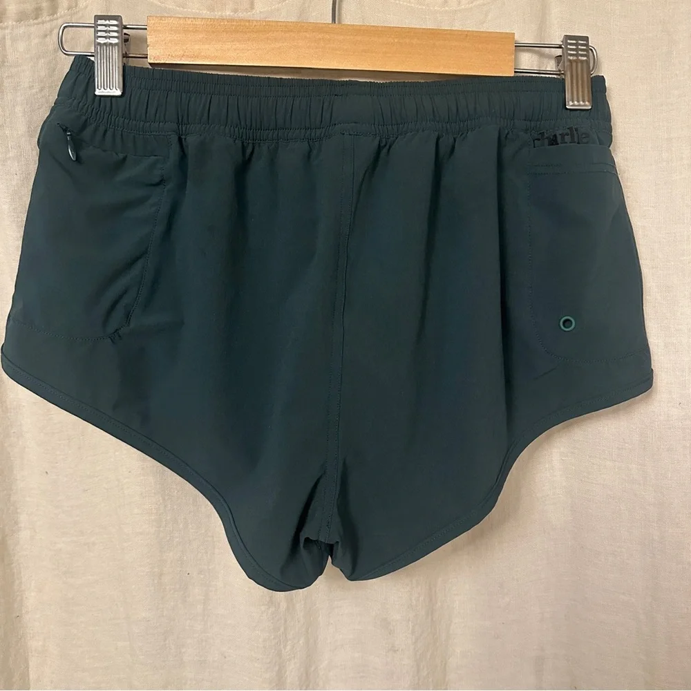 Charlie Swim Shorts